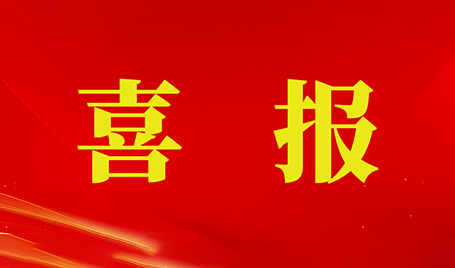 js555888金沙黎兰兰同志被授予“深圳市社会组织优秀共产党员”称号